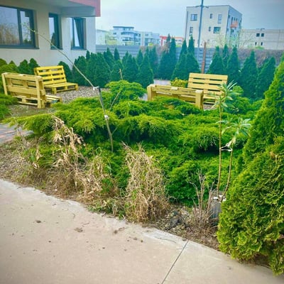 Аренда комфортной 2-комнатной квартиры с двориком, 41 м², Мамаия Норд, Констанца, Румыния